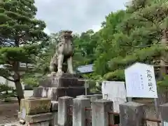 福井県護国神社の狛犬