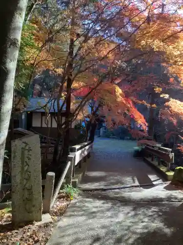 五所駒瀧神社(茨城県)