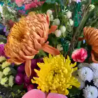 滑川神社 - 仕事と子どもの守り神の手水舎