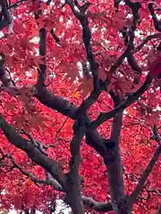 花巻温泉稲荷神社の自然