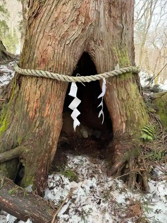 戸隠神社九頭龍社(長野県)