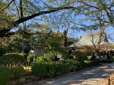 豪徳寺(東京都)