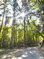 サムハラ神社 元宮の周辺