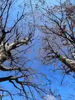 前川神社(埼玉県)