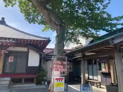 慈眼院の{uncategorized: "未分類", other: "その他", undefined: "問題あり", building: "その他建物", grave: "お墓", sacred_gate: "鳥居", guardian: "狛犬", statue: "像", buddha: "仏像", history: "歴史", nature: "自然", garden: "庭園", animal: "動物", pagoda: "塔", temizu: "手水舎", mountain_gate: "山門・神門", sanctuary: "本殿・本堂", subordinate: "末社・摂社", art: "芸術", scenery: "景色", jizo: "地蔵", ema: "絵馬", goshuin: "御朱印", omikuji: "おみくじ", items: "授与品その他", amulet: "お守り", goshuincho: "御朱印帳", eats: "食事", festival: "お祭り", votive_dance: "神楽", shichigosan: "七五三参", wedding: "結婚式", experience: "体験その他", initially: "初詣", around: "周辺", anti_infection: "感染症対策"}
