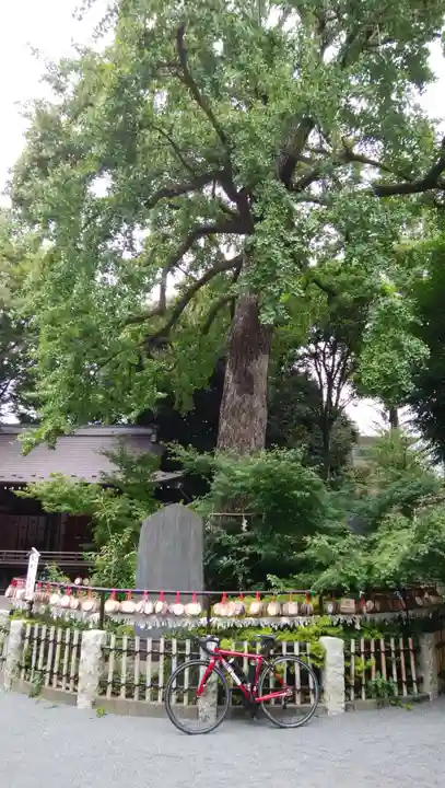 七社神社(東京都)