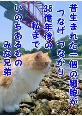 西教寺（下松駅徒歩５分）(山口県)