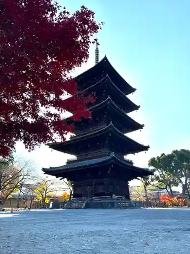 東寺（教王護国寺）(京都府)