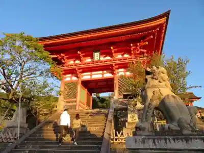 清水寺の狛犬