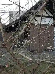 第六天神社の自然