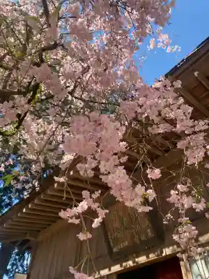 光丸山 法輪寺の{uncategorized: "未分類", other: "その他", undefined: "問題あり", building: "その他建物", grave: "お墓", sacred_gate: "鳥居", guardian: "狛犬", statue: "像", buddha: "仏像", history: "歴史", nature: "自然", garden: "庭園", animal: "動物", pagoda: "塔", temizu: "手水舎", mountain_gate: "山門・神門", sanctuary: "本殿・本堂", subordinate: "末社・摂社", art: "芸術", scenery: "景色", jizo: "地蔵", ema: "絵馬", goshuin: "御朱印", omikuji: "おみくじ", items: "授与品その他", amulet: "お守り", goshuincho: "御朱印帳", eats: "食事", festival: "お祭り", votive_dance: "神楽", shichigosan: "七五三参", wedding: "結婚式", experience: "体験その他", initially: "初詣", around: "周辺", anti_infection: "感染症対策"}