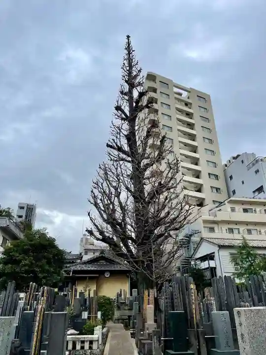 定泉寺(東京都)