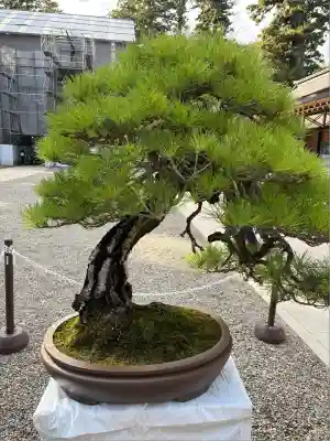 鹿島神宮(茨城県)