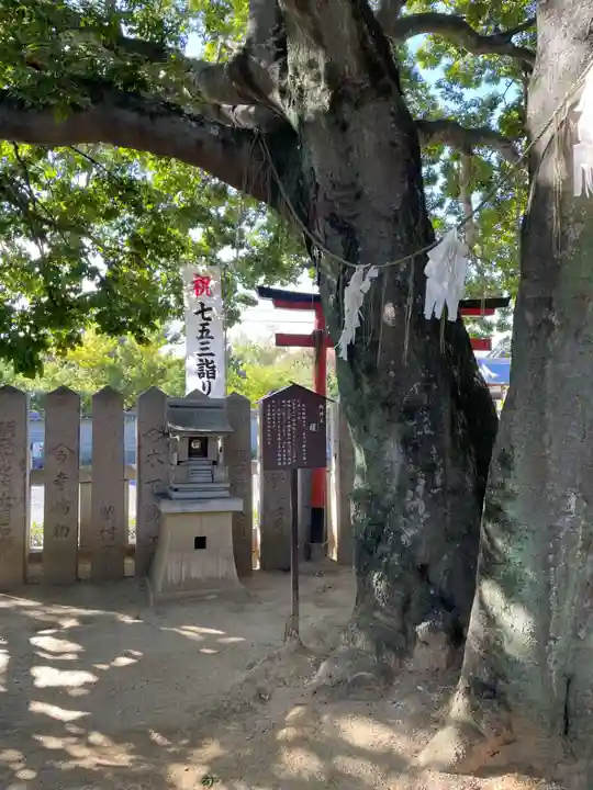 岩屋神社(兵庫県)