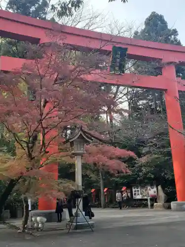 冠稲荷神社の鳥居