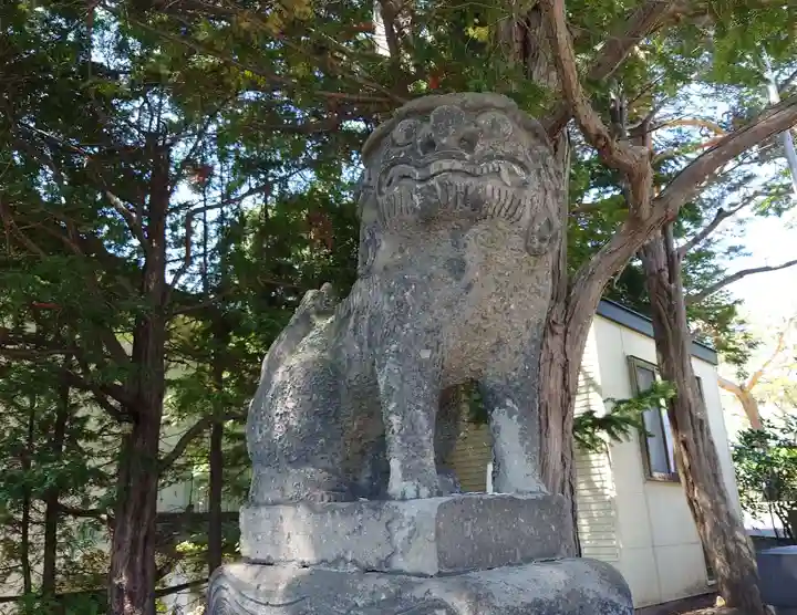 北見神社の狛犬