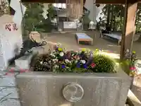 麻賀多神社の手水舎