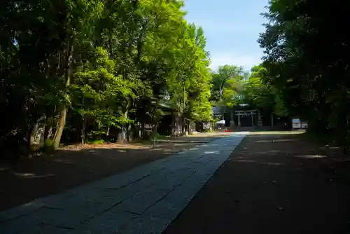 篠崎浅間神社(東京都)
