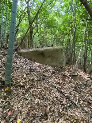 安仁神社の自然