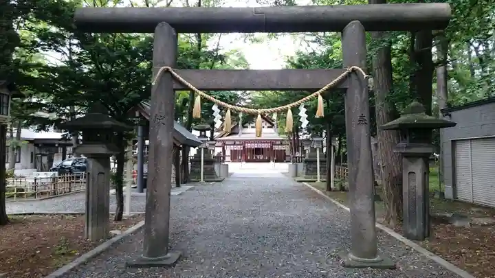 新琴似神社の鳥居