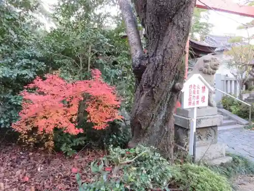 漢國神社の自然