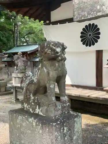 泉穴師神社の狛犬