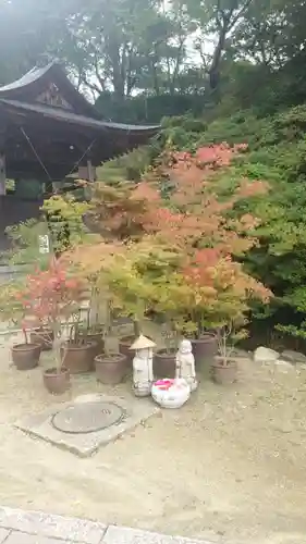 岡寺（龍蓋寺）(奈良県)