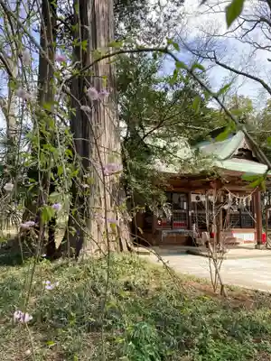 息栖神社の景色