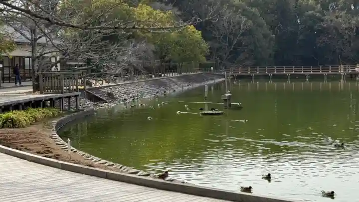 橿原神宮(奈良県)