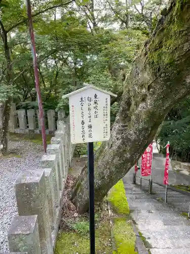 岩津天満宮のその他建物
