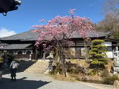 楽法寺（雨引観音）(茨城県)