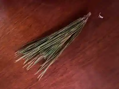 日宮神社(富山県)