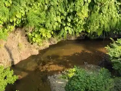高龍神社(新潟県)