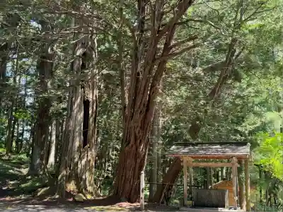 早池峰神社(岩手県)