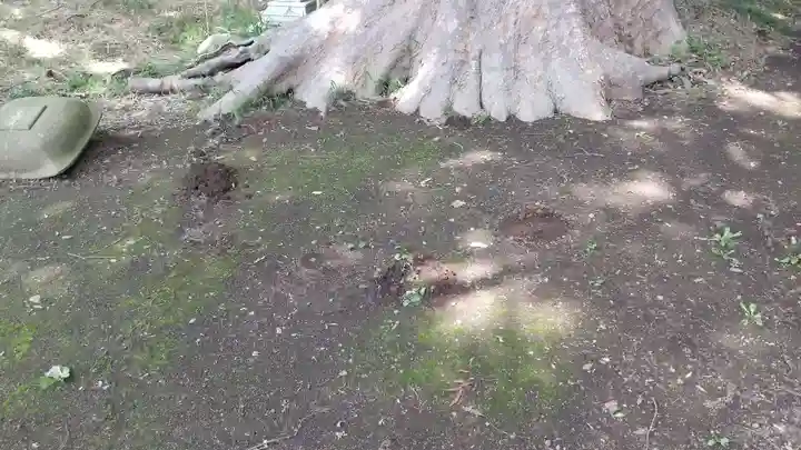 酒門神社のその他建物
