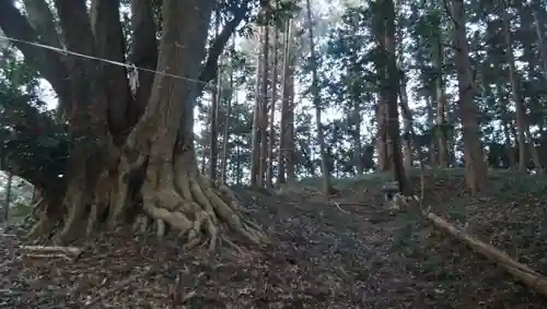 主石神社の自然