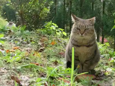 南禅寺(京都府)