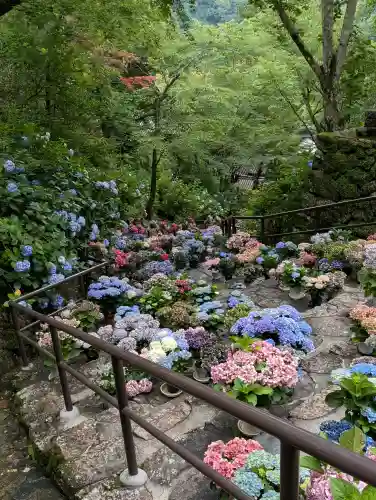 長谷寺(奈良県)