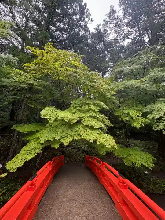 小國神社の{uncategorized: "未分類", other: "その他", undefined: "問題あり", building: "その他建物", grave: "お墓", sacred_gate: "鳥居", guardian: "狛犬", statue: "像", buddha: "仏像", history: "歴史", nature: "自然", garden: "庭園", animal: "動物", pagoda: "塔", temizu: "手水舎", mountain_gate: "山門・神門", sanctuary: "本殿・本堂", subordinate: "末社・摂社", art: "芸術", scenery: "景色", jizo: "地蔵", ema: "絵馬", goshuin: "御朱印", omikuji: "おみくじ", items: "授与品その他", amulet: "お守り", goshuincho: "御朱印帳", eats: "食事", festival: "お祭り", votive_dance: "神楽", shichigosan: "七五三参", wedding: "結婚式", experience: "体験その他", initially: "初詣", around: "周辺", anti_infection: "感染症対策"}