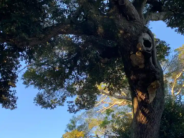 鹿嶋吉田神社(茨城県)