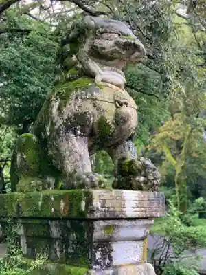 宇佐神宮の狛犬