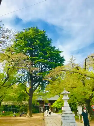 大宝八幡宮のその他建物