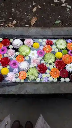 前玉神社の手水