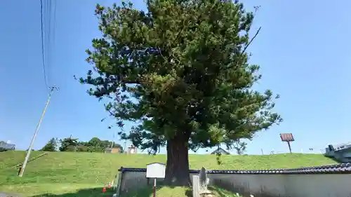 観世寺(福島県)