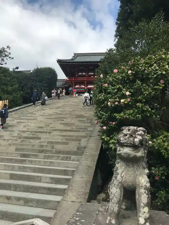 鶴岡八幡宮の狛犬