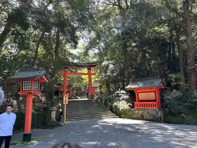 宇佐神宮(大分県)