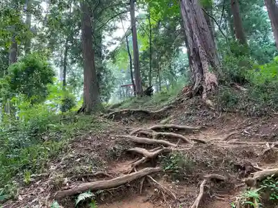 羽黒三田神社の周辺