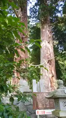 夏井諏訪神社のその他建物