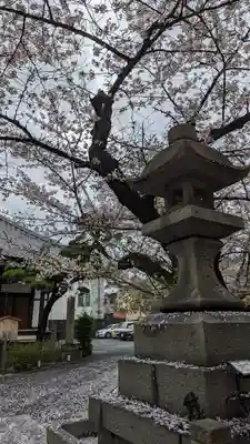 墨染寺（桜寺）(京都府)