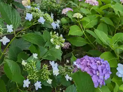 六孫王神社(京都府)